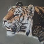 Tijger Tijger