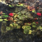 Symbiosis 110-01 Symbiosis 110-01