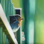 Birdy Birdy