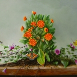 17 De negenarmige goudsbloem. 17 De negenarmige goudsbloem.