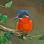 4 Het ijsvogeltje. 4 Het ijsvogeltje.