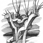 Knotwilg langs het Gein 8 Knotwilg langs het Gein 8