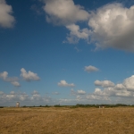 Solleveld Solleveld