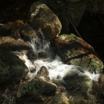 Art of Nature Art of Nature