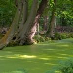 Landgoed Oosterbeek Landgoed Oosterbeek