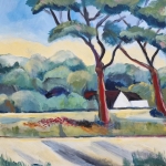 landschap landschap