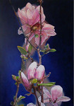 In deze groep zien we schilderijen van allerlei bloemen.(This group will represent different kind of painted flowers)