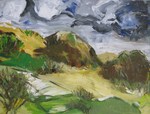 Duinen 2013