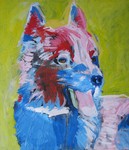 dieren