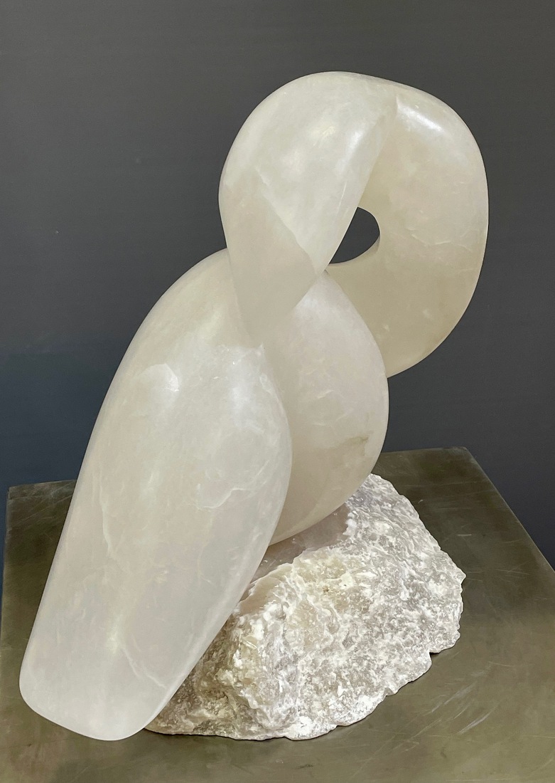 Cigno bianco