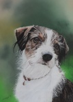 In opdracht schilder ik ook jouw hond, neem vrijblijvend contact met me op.