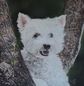 Album honden, neem de tijd om de tekeningen te bekijken, wens je meer informatie, neem gerust contact met me op.