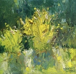 The moment when I looked eyeful of green and yellow, People in Reillanne said to me: You know what? the colours in Provence you could not see anywhere, Here the sky is different from all other places, in spring it is pure blue but the Autumn it will be bright pink ......