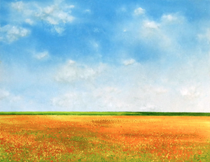 Mijn favoriete landschappen.