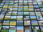 Streekproduct: schilderijtjes van het Rijk van Nijmegen en wijde omgeving. Maat 24 x 30 cm, olie op doek, €80,- per stuk (met baklijst: + €20,-). De landschapjes zijn bij te bestellen, de stadsbeelden niet. Ook werkt ze in opdracht aan uw eigen dierbare plek.