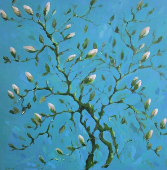 Magnoliatak