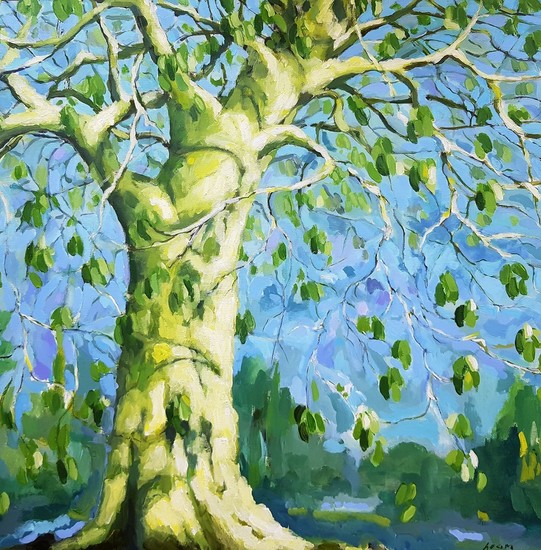 Horse Chestnut