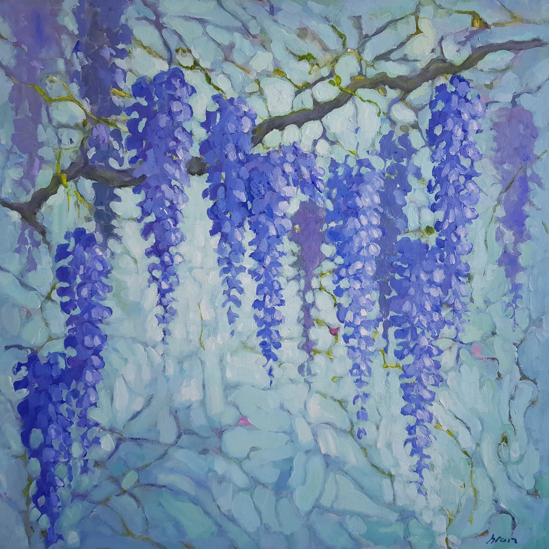 Wisteria