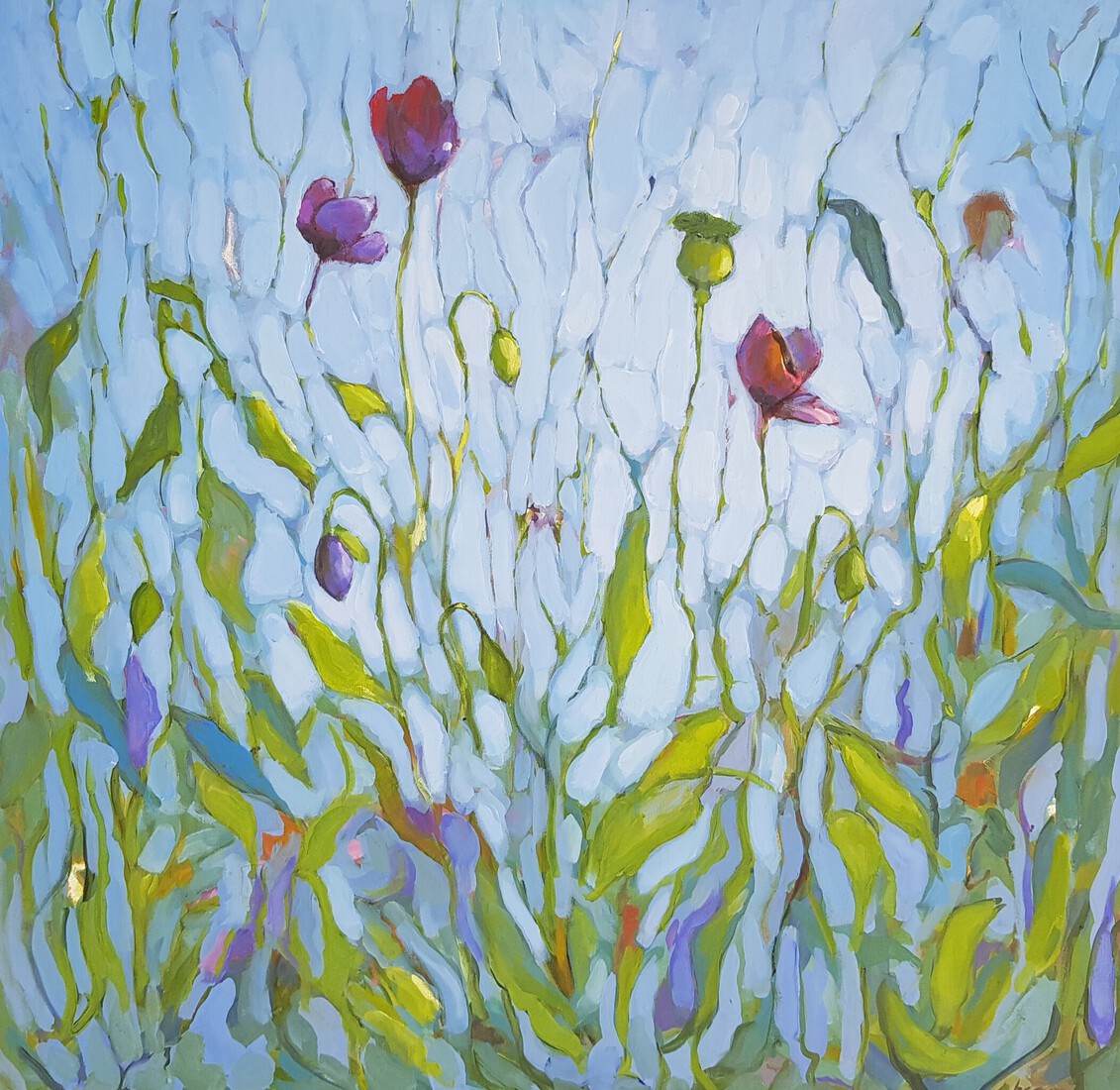 Purple poppies