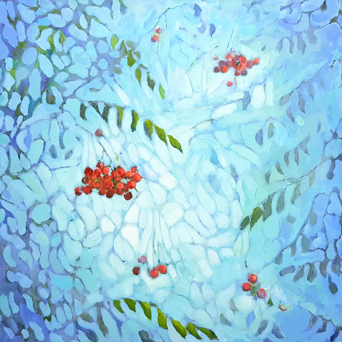 Rowan Berries