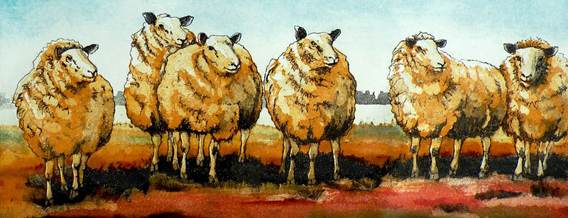schapenrijtje
