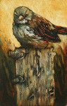 allerlei vogels