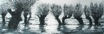 Landschappen
