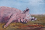 Varkens