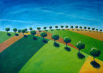 Landschaps-impressies van Frankrijk tot Drenthe
