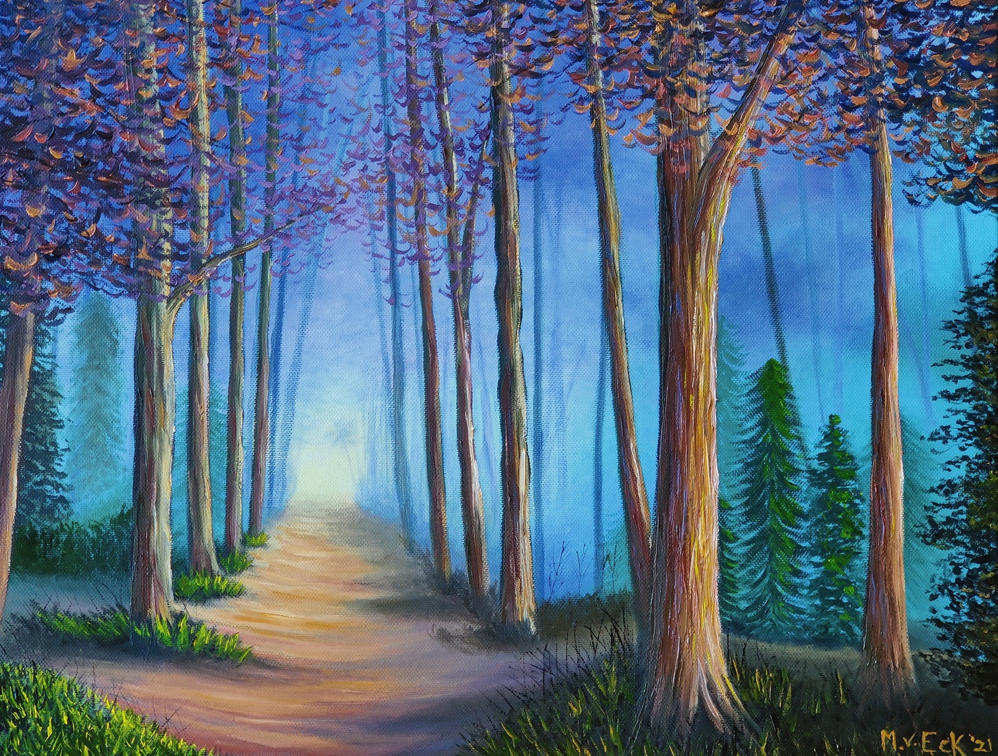 Misty Forest Trail