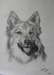 schetsen