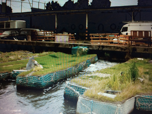 Drijvende tuinen de erfenis van Jasper Grootveld in de Geldersekade een kort leven beschoren!! Is het een boot? Is het een tuin? Wilt u liggeld betalen? Dat kan niet! Het is geen boot het is een tuin!