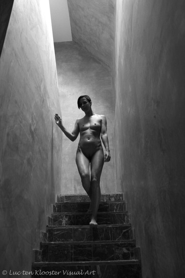 Nude descending a staircase 6