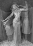Danseres danst een pas-de-deux.