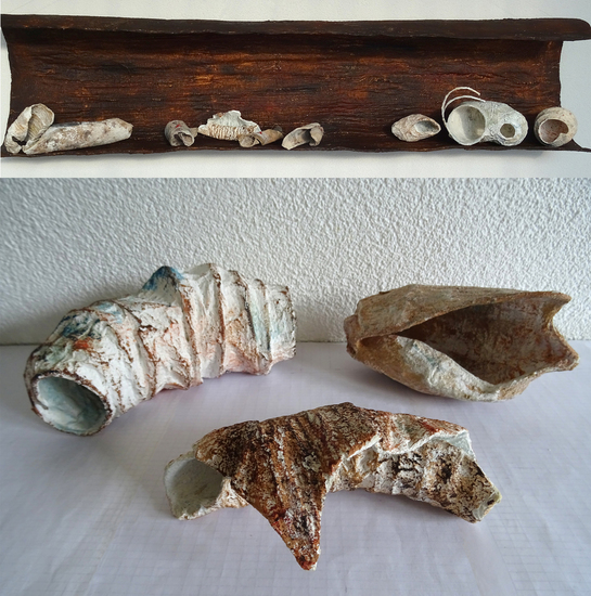 Object with shell forms - Divers