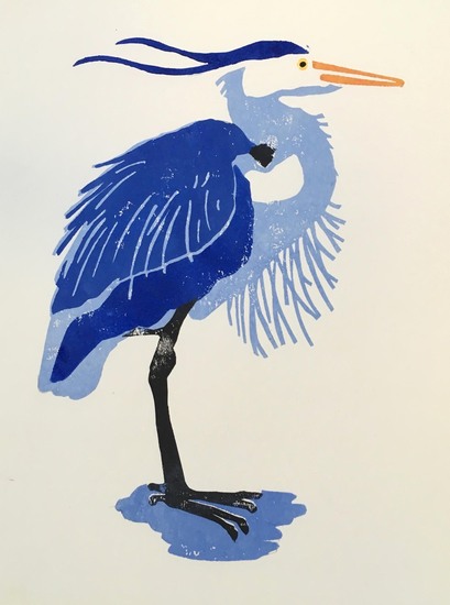 Blauwe reiger, zijwind