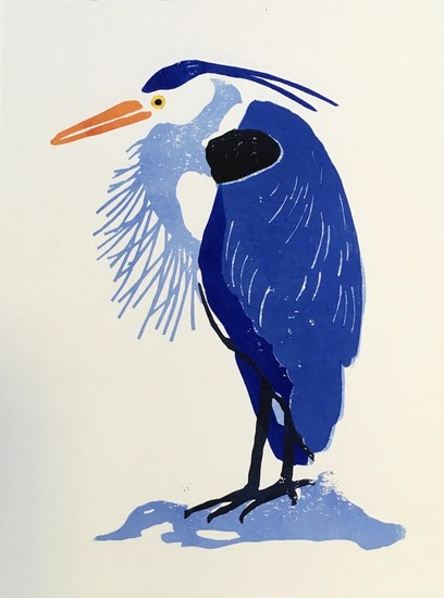 Blauwe reiger, borsthaar