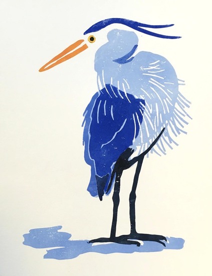 Blauwe reiger, gedraaid hoofd