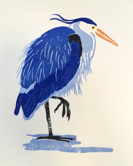 Blauwe reiger, poot omhoog