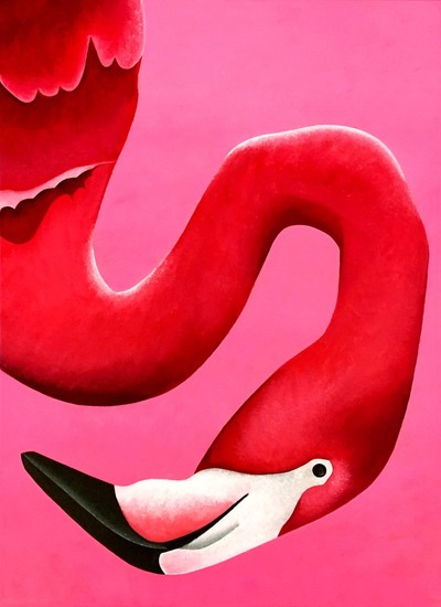 Portret van een flamingo met de kop omlaag