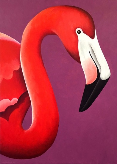 Portret van een flamingo met de kop naar rechts