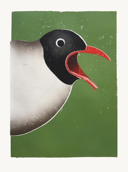 Portret van een Franklins meeuw