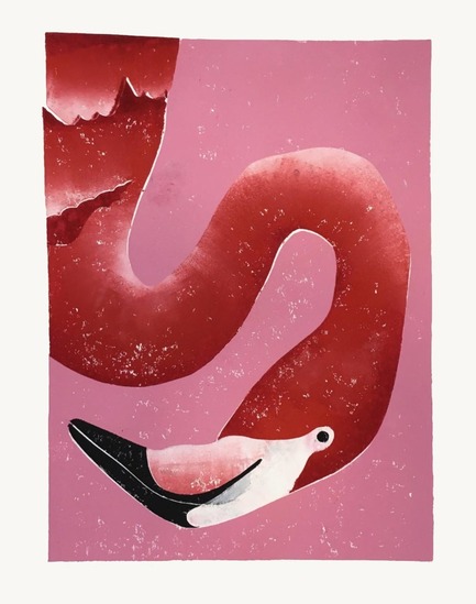 Portret van een flamingo met de kop omlaag