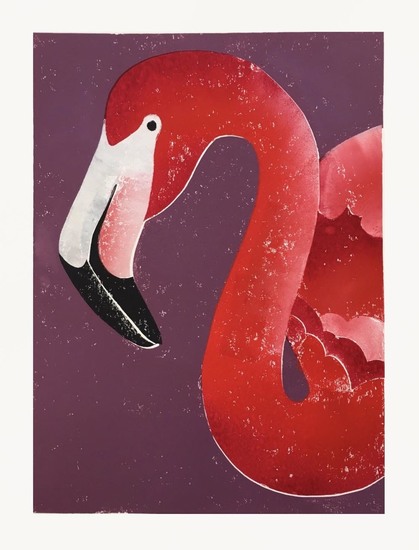 Portret van een flamingo