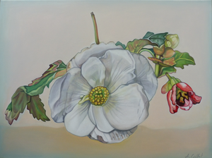 Schilderijen van bloemen