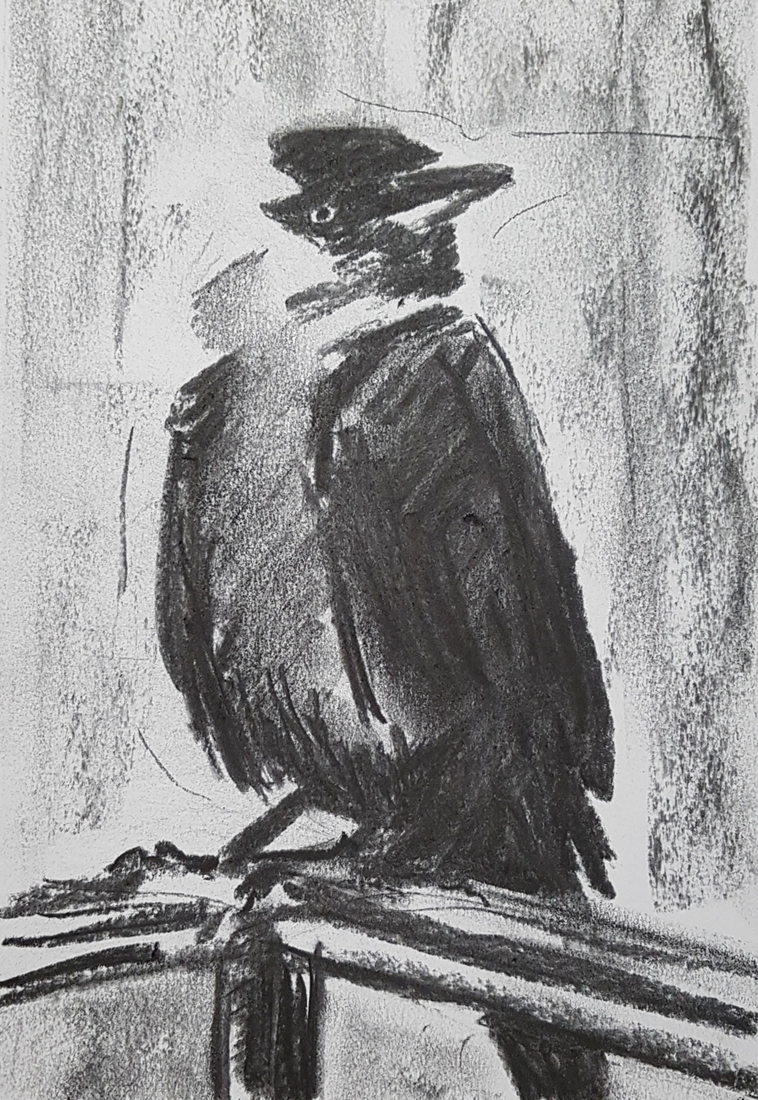 Kauwtje 11