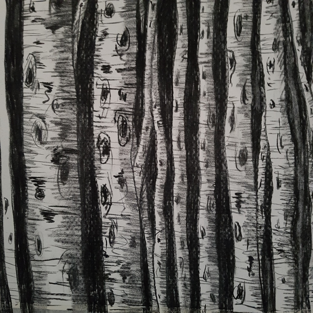 Berkenbos (detail)