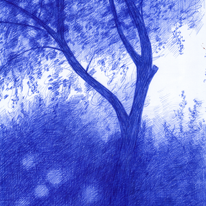 Bomen over bomen. Mijn tekeningen zijn voorzien van een UV-filter. Desondanks kan direct zonlicht de blauwe inkt na verloop van tijd enigszins 