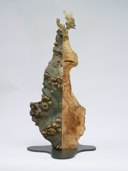 Droomboom / Dream Tree