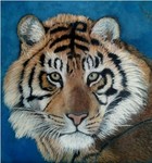 Dieren